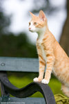 _MG_9126-2