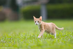 _MG_9136-2