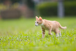 _MG_9138-2