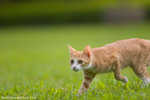 _MG_9140-2