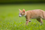 _MG_9141-2
