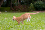 _MG_9143-2