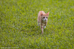 _MG_9148-2