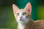 _MG_9159-2
