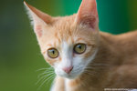_MG_9162-2