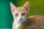 _MG_9170-2
