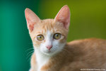 _MG_9171-2