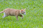 _MG_9176-2