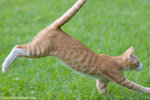 _MG_9181-2