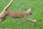 _MG_9182-2