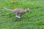 _MG_9197-2