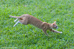 _MG_9198-2
