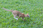 _MG_9200-2