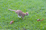 _MG_9202-2
