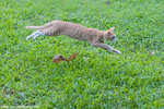 _MG_9203-2