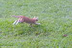 _MG_9208-2