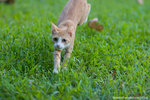 _MG_9219-2