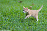 _MG_9225-2