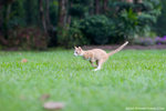_MG_9241-2