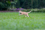 _MG_9244-2