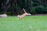 _MG_9251-2