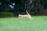 _MG_9252-2