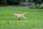 _MG_9257-2