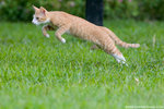 _MG_9259-2