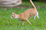 _MG_9263-2