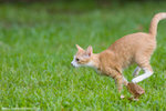 _MG_9273-2