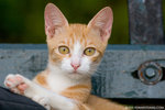 _MG_9280-2
