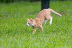 _MG_9282-2