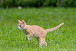 _MG_9284-2