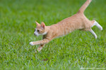 _MG_9286-2