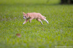 _MG_9287-2