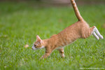 _MG_9293-2