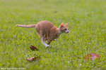 _MG_9295-2