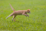 _MG_9297-2