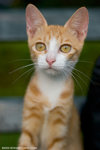 _MG_9299-2