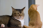 _MG_9320-2
