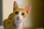 _MG_9409-2