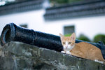 _MG_9485-2