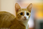 _MG_9648-2