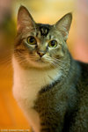 _MG_9652-2