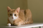 _MG_9674-3