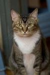 _MG_9699-3