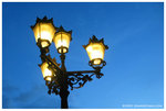 aIMG_0242