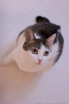 _MG_1714-2