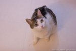 _MG_1718-2