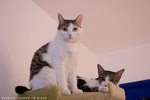 _MG_1726-2